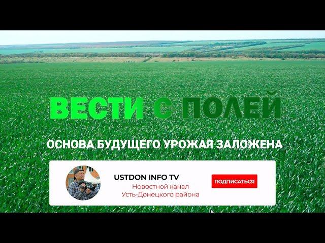 Основа будущего урожая заложена