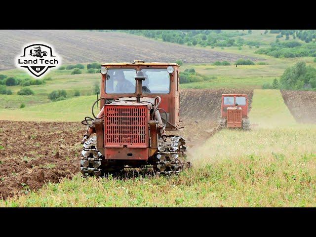 Как в СССР: два советских гусеничных трактора Т-4А пашут зябь!