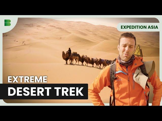 Surviving with a Camel Caravan - Expedition Asia - Travel Documentary