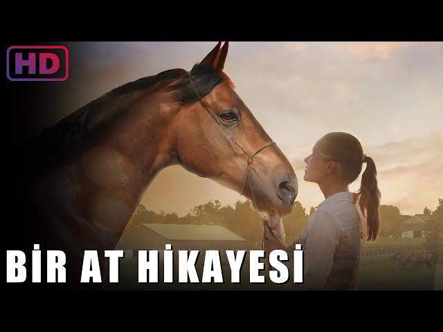 Bir At Hikayesi | Film