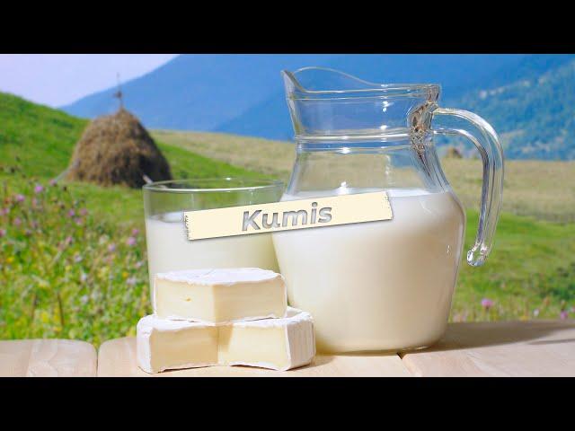 Kumis | The Traditional Drink of Turks