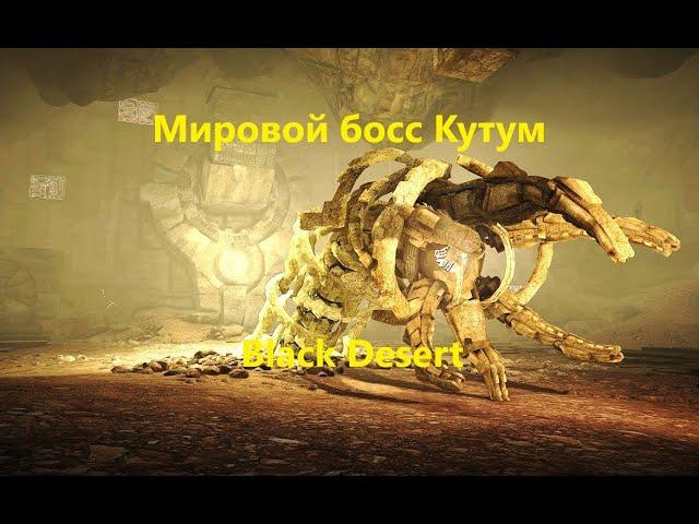 Black desert мировой босс Кутум