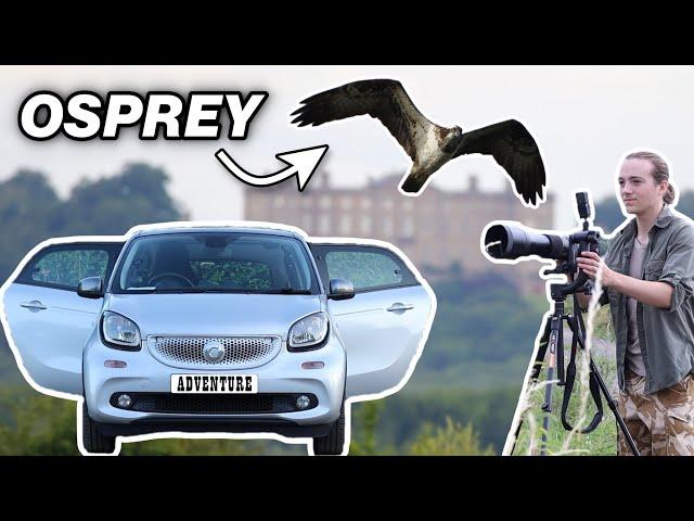 Rutland's OSPREYS | 3 Days SOLO Wildlife Photography CAR CAMPING Adventure