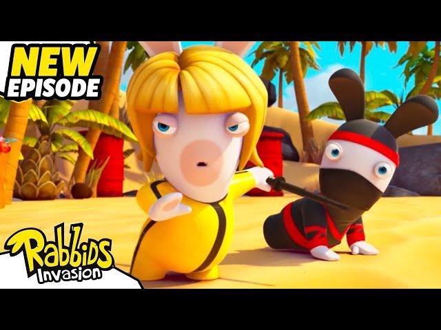 The bowtie and the Rabbid (S04E44) | RABBIDS INVASION | New episodes | Cartoon for Kids