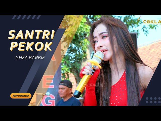 SANTRI PEKOK - GHEA BARBIE "NEW PRIMAEGA" || LIVE.DUSUN PONCOL-KEDUNGBOKOR,KEC.LARANGAN-BREBES