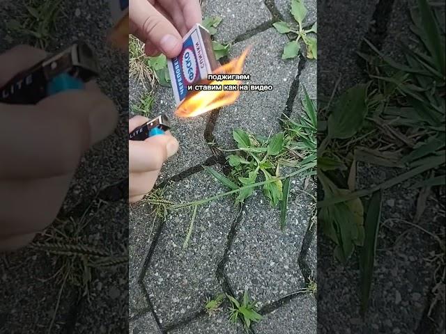 как сделать офигенную дымовуху