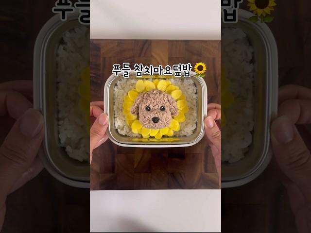 푸들 참치마요덮밥 도시락 poodle  #푸들 #캐릭터도시락