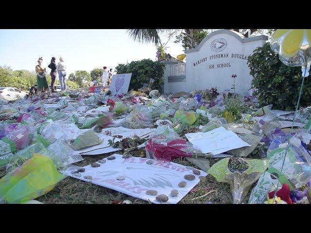 #MSDSTRONG News Package