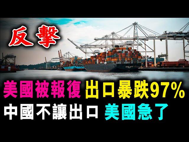 美國被報復 出口暴跌97%  ! 中國不讓出口 美國急了 !  / 新潮民 @SCM1.0