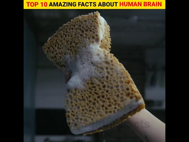 Top 10 amazing and intresting facts about human brain  | in hindi #fact #shorts