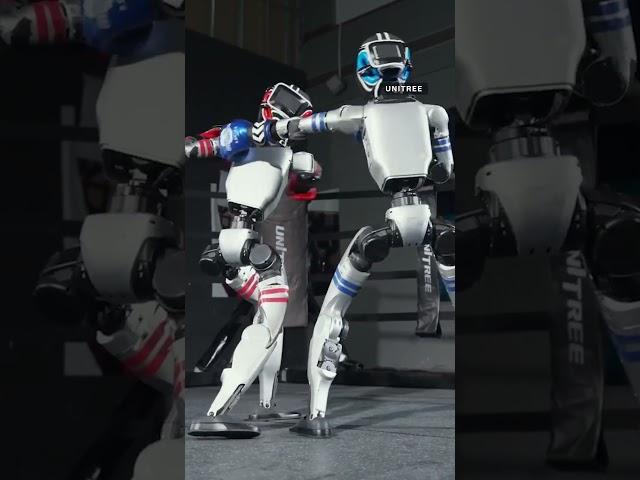 Unitree’s Robots Are Learning To Box