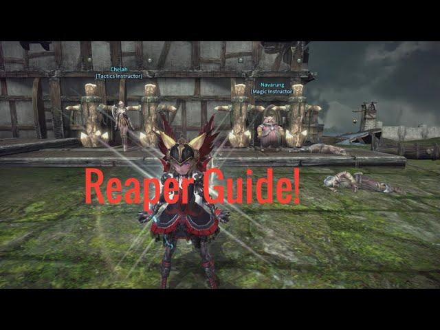 Tera Reaper Rotation! How To Use Reaper! Guide