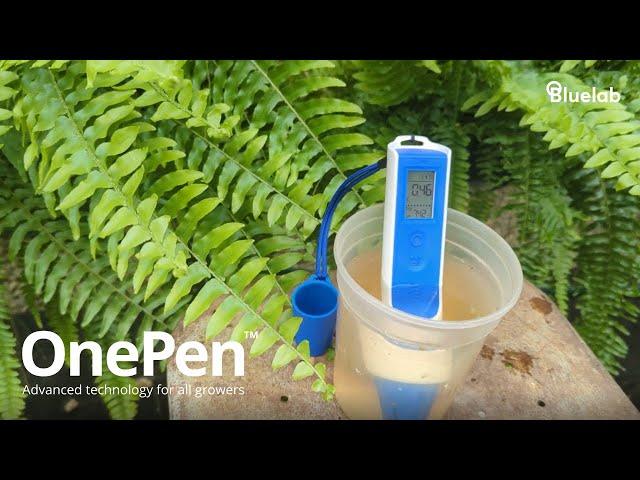 Precision Growing Made Easy: Bluelab OnePen™ in action at Collier's Greenhouse