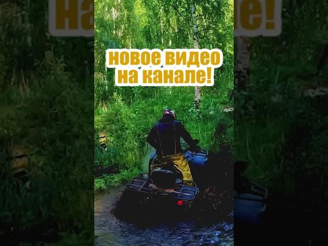 Грязь, песок и вода #shorts #atv #квадроциклы