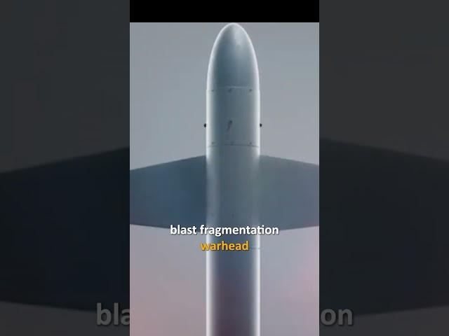 Ukraine unveils Palianytsia rocket drone for deep strikes