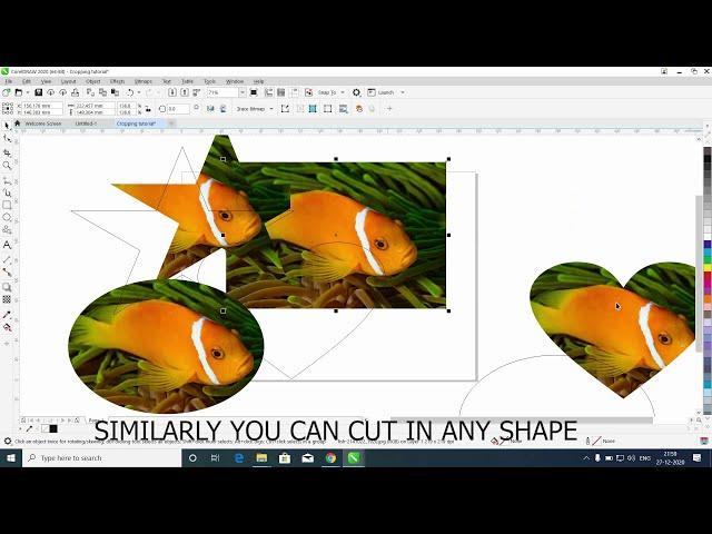 How To Crop Image in Any Shape | Coreldraw 2021