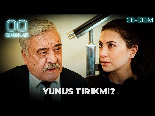 YUNUS TIRIKMI? "Oq qushlar" 36-qism