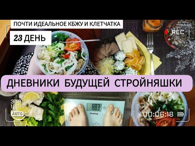 Дневники похудения|23 день|Хочу сорваться|Установки на похудении|Стройнею с 91.5кг|Что я ем за день|