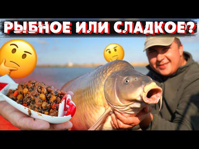 ЧЕМ ЛУЧШЕ КОРМИТЬ КАРПА ОСЕНЬЮ?! Эксперимент с прикормкой в Нестандартных условиях. Часть I