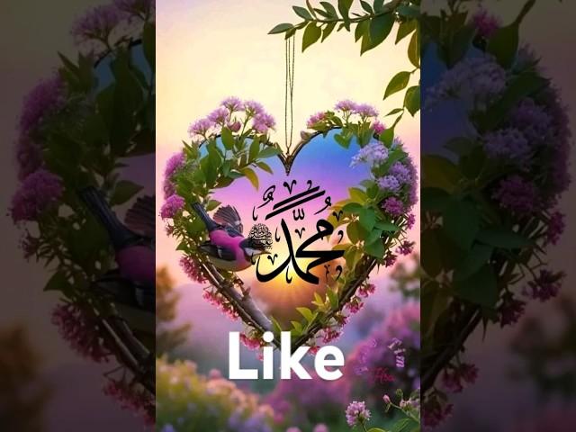 islami short video allah muhamma dd name please like