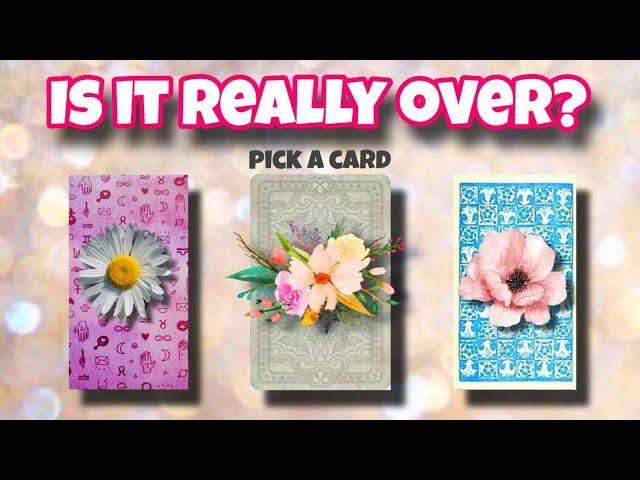 Pick a card: Is it really over? Will they come back? | Timeless Tarot Reading | Hope Tarot Daily