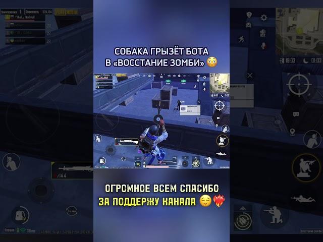 Как думаете, это баг?  Или так и должно быть? | #metroroyale #pubgmobile
