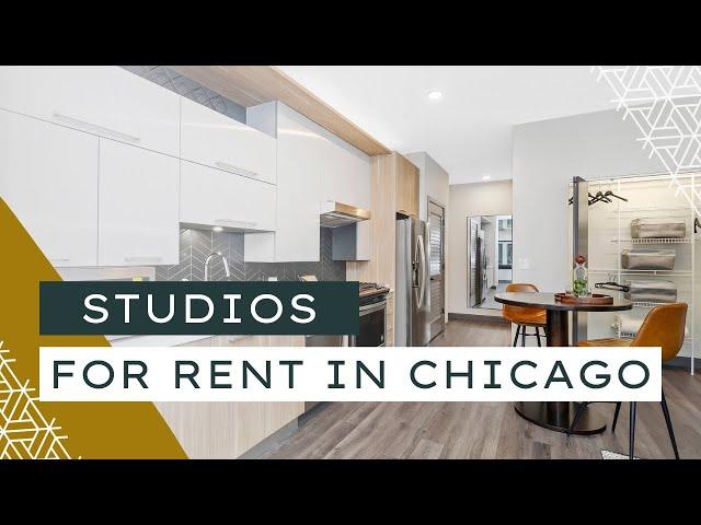 Luxury Studios for Rent in Downtown Chicago | Millennium on Lasalle Apartments