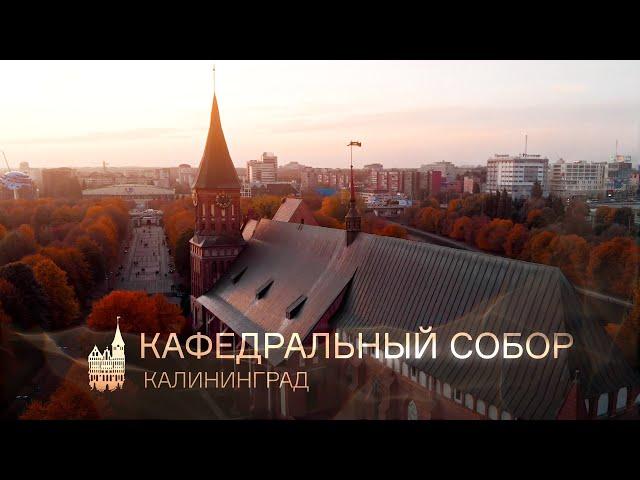 Kaliningrad Cathedral [Promo video]