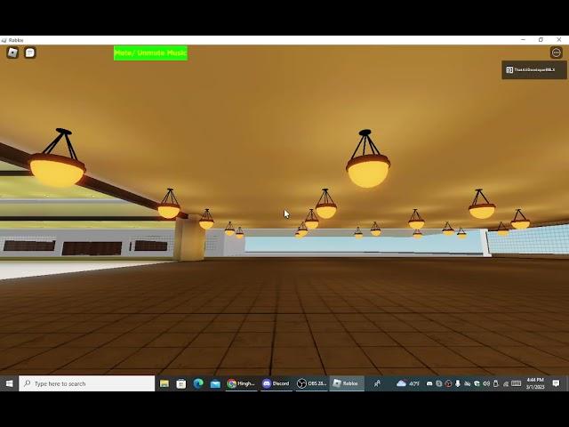 Elevators at Hinghaint Roblox