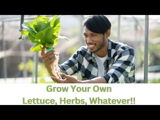 Hydroponic farming at home for beginners - Unboxing the IGWorks Uharvest