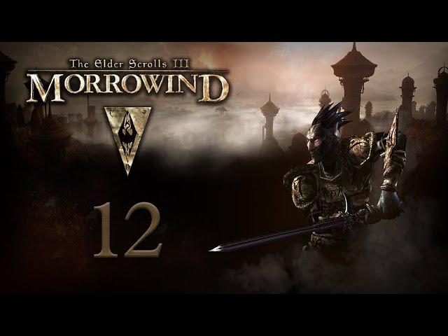 TES III: Morrowind. #12