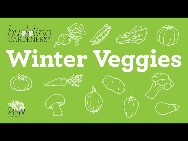 Budding Gardeners: Winter Veggies