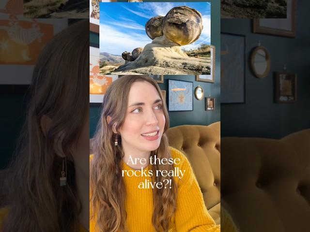What’s the deal with these weird rocks?