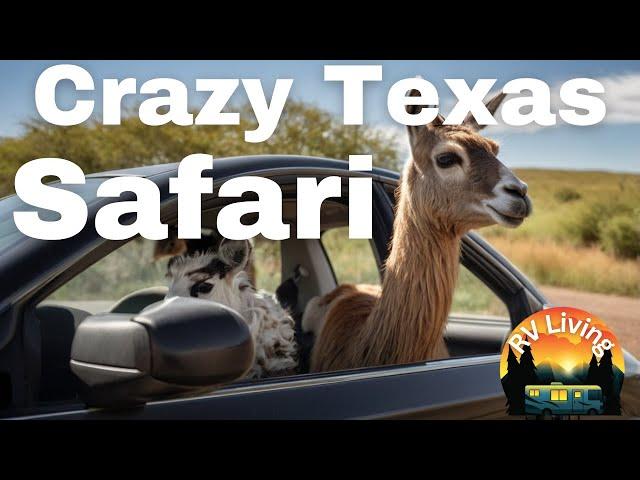 I Went To The Wildest Petting Zoo In Texas