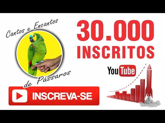 Agora Somos 30mil Inscritos | Canal Cantos e Encantos de Pássaros