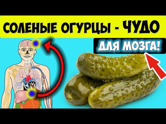 Через желудок к мозгу! Польза соленых огурцов - вся правда. Что лечат соленые огурцы?