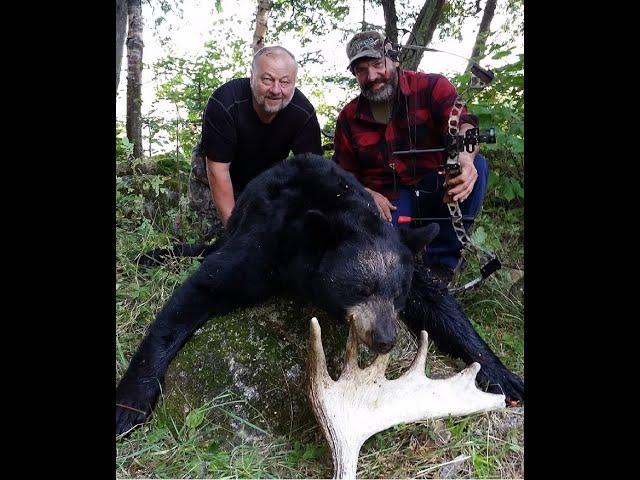 Boss Bear VS The Beast