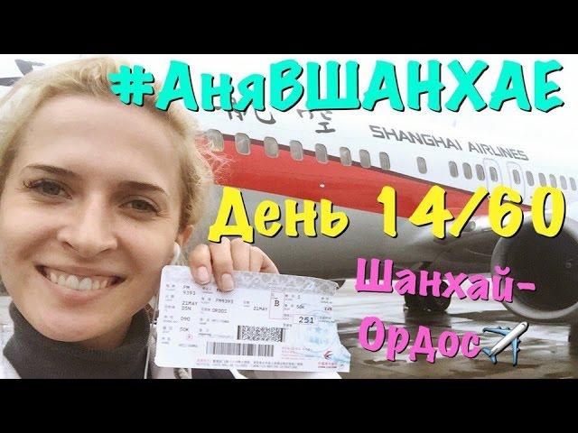 #АняВШАНХАЕ! Улетела в Монголию! День 14 из 60 | Аня Гресь VLOG | Anya Gres