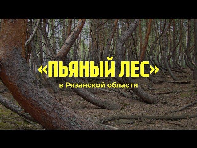 Пьяный лес