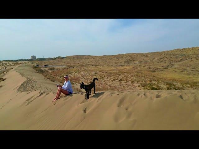 Dogs, Us, Dunes, Camera and Drone