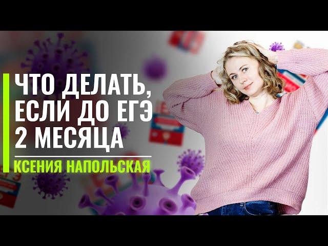 Что делать, если до ЕГЭ 2 месяца? | Биология ЕГЭ 2022