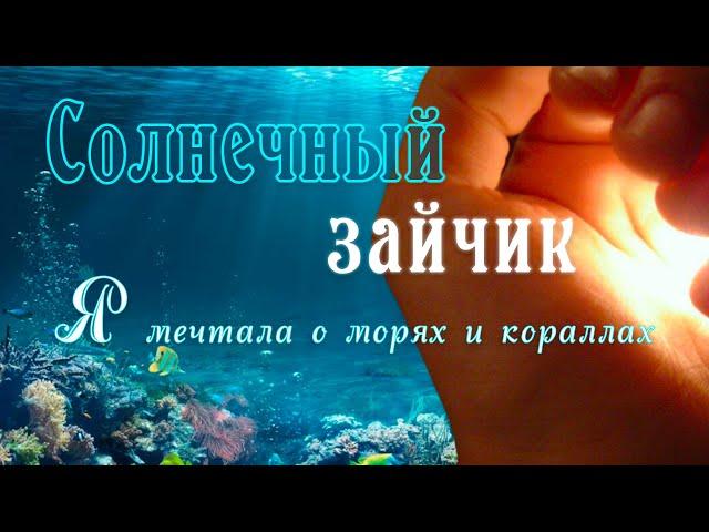 Солнечный зайчик. Я мечтала о морях и кораллах #песниподгитару