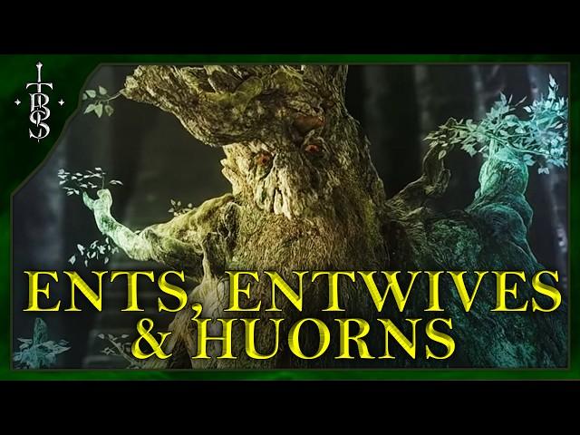 TREEBEARD Was Once Evil?!?  | The Ents, Entwives & The Huorns! | Lord of the Rings