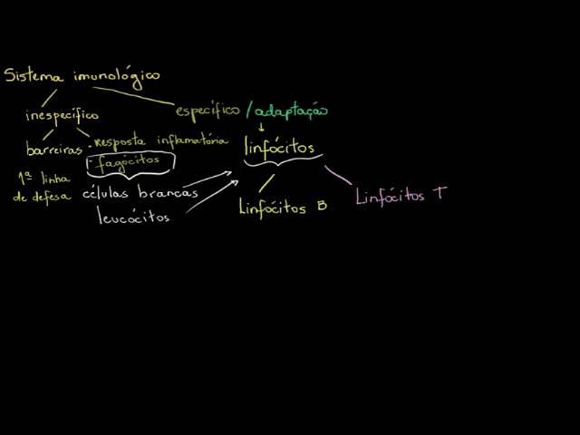 Biologia - Tipos de Respostas Imunológicas (Khan Academy)