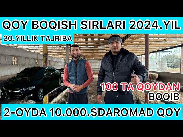 20.YILLIK TAJRIBA QOY BOQISH SIRLARI 4-OYDA SEMIRTIRISH SIRLARI OBUNA BOLING