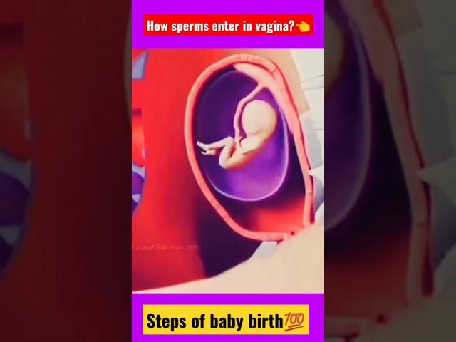 steps of baby birthhow sperms enter in vagina? @Vlogsworld10Mview #trendingshorts #viral