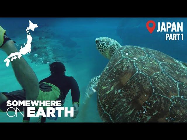 Planet Earth: Japan | Ancient Civilisation Discovered | Java Documentary