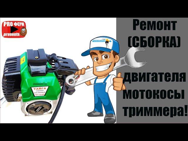 Полная сборка двигателя мотокосы-бензокосы , замена цилиндра, поршня, колец, сепаратора, + тюниг.