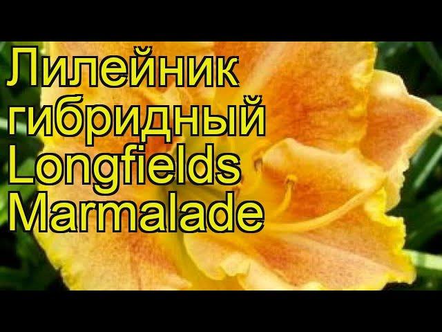 Лилейник гибридный Лонгфилдз Мармелад. Краткий обзор, описание hemerocallis Longfields Marmalade