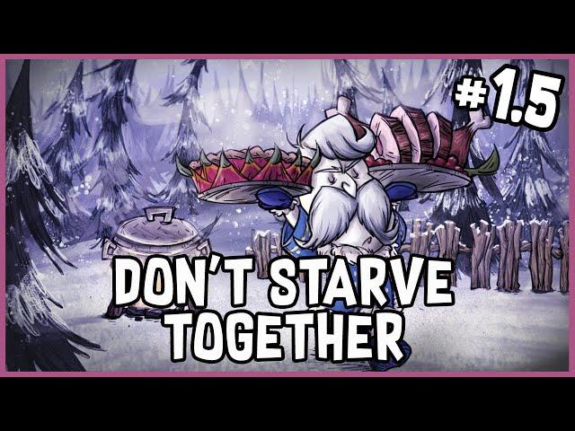 New Year, New World! | Don't Starve Together - Solo World 4 (#1.5)